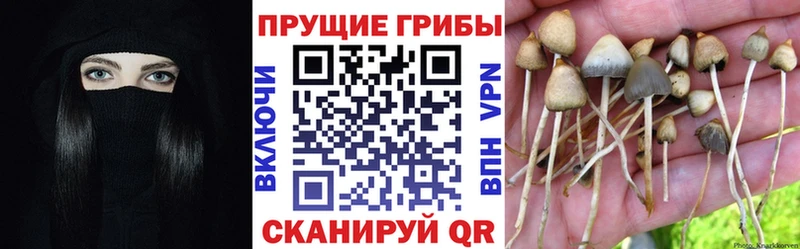 Галлюциногенные грибы мухоморы  купить  цена  ОМГ ОМГ ссылки  Кировград 